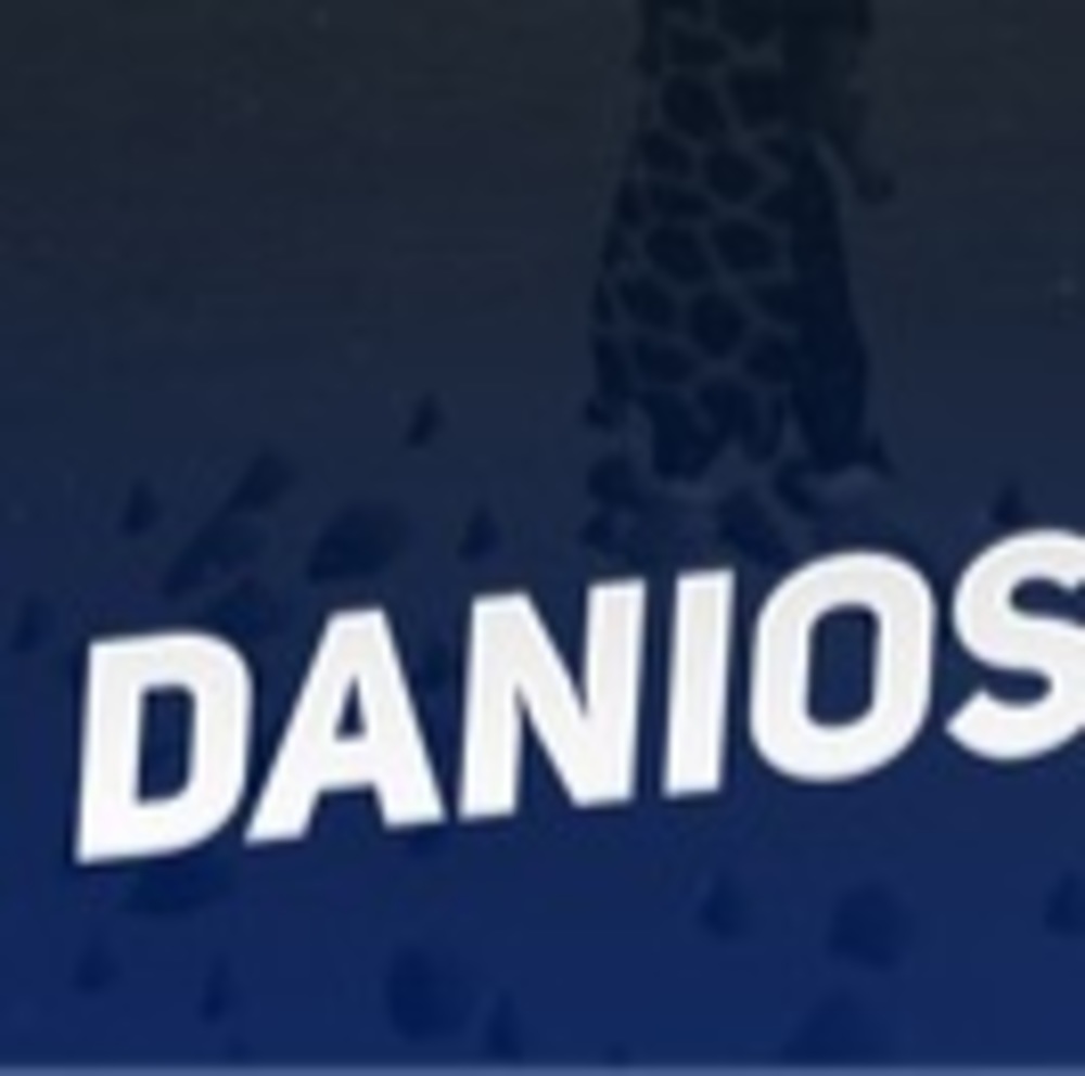 Meet your Posher, Dani